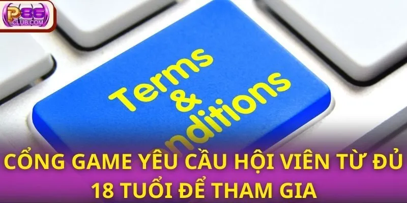 Cổng game yêu cầu hội viên từ đủ 18 tuổi để tham gia